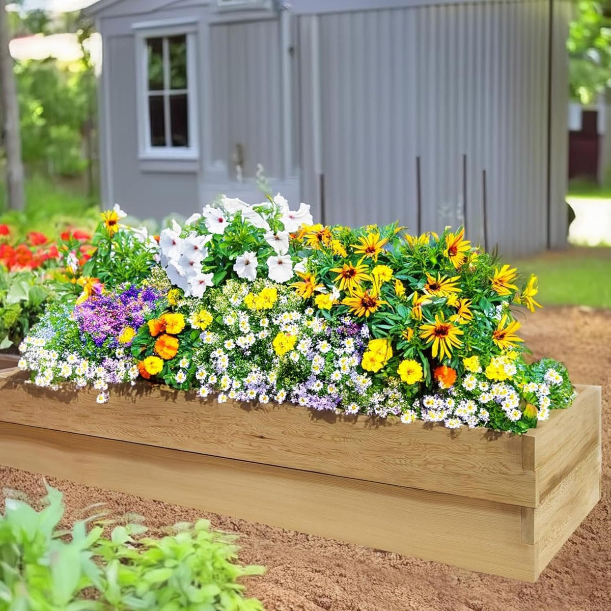 All Things Cedar 6x2 Ft Double Layer Raised Garden Box – RG72-2