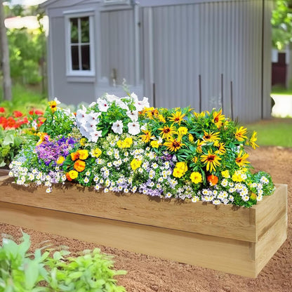 All Things Cedar 6x2 Ft Double Layer Raised Garden Box – RG72-2